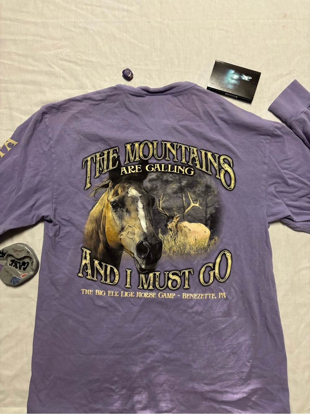 Port and Company Purple Long Sleeve Tee with Horse Graphic